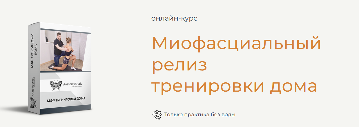 [Андрей Богатырев] [Анатомия] Миофасциальный релиз_0.png